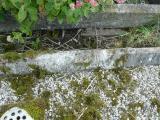 image of grave number 206721